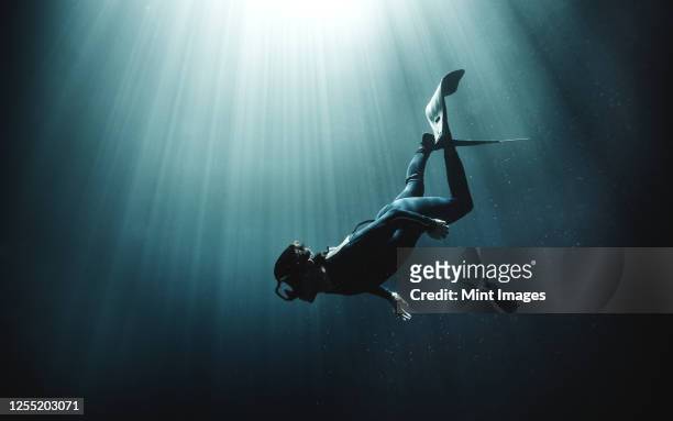 underwater view of diver wearing wet suit and flippers, sunlight filtering through from above. - buceo con equipo fotografías e imágenes de stock