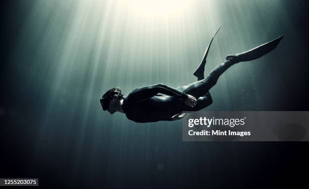 underwater view of diver wearing wet suit and flippers, sunlight filtering through from above. - ropa protectora deportiva fotografías e imágenes de stock