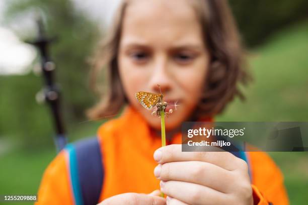 jongen in het bergbos - child dandelion stockfoto's en -beelden