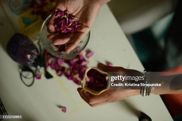 woman picking up dried rose petals into a little bag - picking petals imagens e fotografias de stock