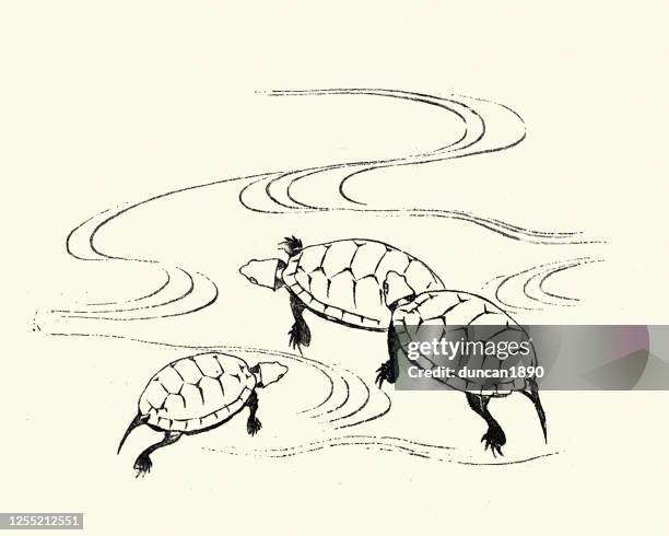 terrapins swimming in a pond, japanese art - terrapin stock illustrations