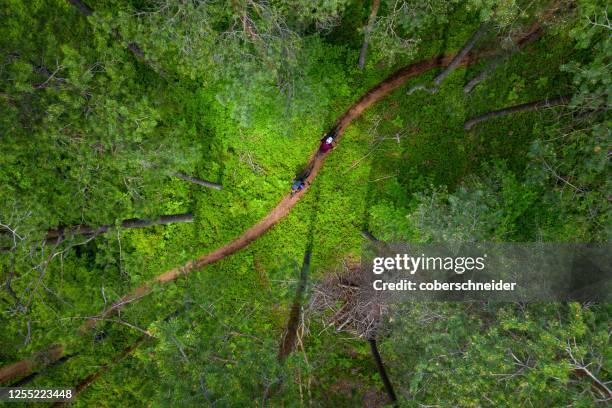 aerial view of a man and woman mountain biking through the forest, klagenfurt, carinthia, austria - cycling drone bildbanksfoton och bilder