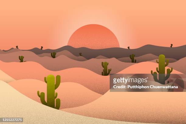 ilustrações, clipart, desenhos animados e ícones de ilustração de sunset desert e cactus landscape. ilustração de vector stock. - sunset