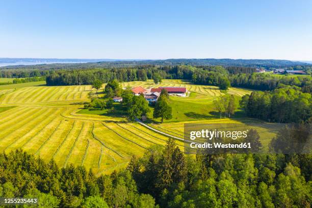 germany, bavaria, oed, drone view of small countryside hamlet surrounded by oilseed rape fields in spring - bauernhaus stock-fotos und bilder