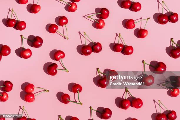 fresh cherries on pink background - cherries stockfoto's en -beelden