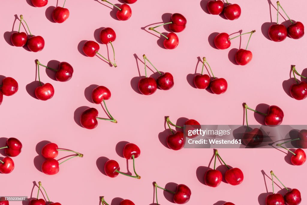 Fresh cherries on pink background