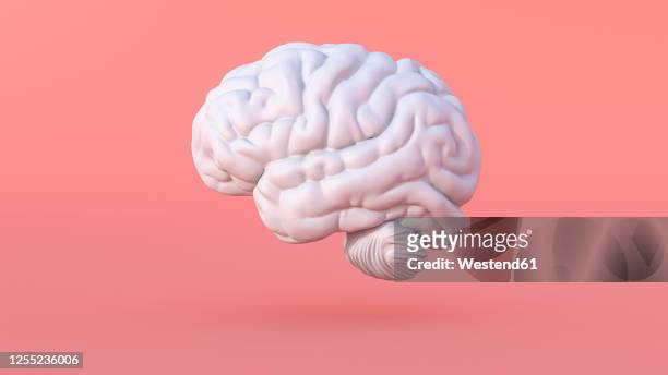 illustrazioni stock, clip art, cartoni animati e icone di tendenza di three dimensional render of human brain - cervello umano