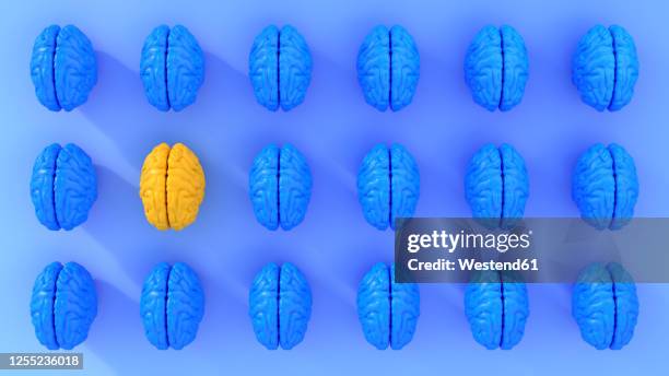pattern of rows of blue colored human brains with single yellow one - human-brain-top-view stock illustrations