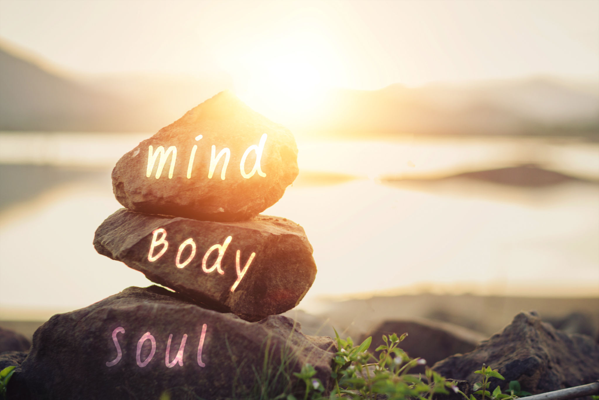 holistic lifestyle