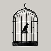 Bird sitting inside a cage