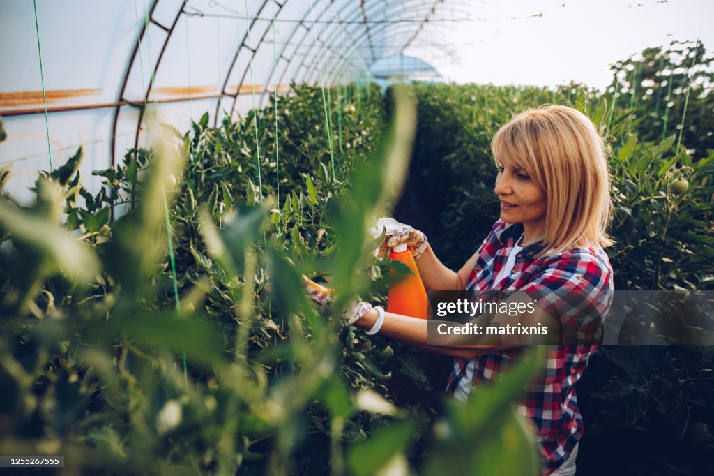 Female farmer in her greenhouse
