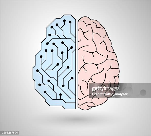 Left Hand Brain System 46 Left Handed Brain Stock Photos, High-Res Pictures, and Images ...