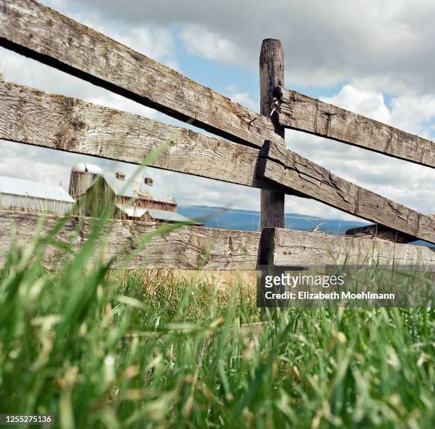 montana fence - montana ranch stock pictures, royalty-free photos & images