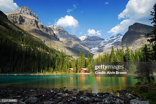 lake o'hara lodge - lago o'hara foto e immagini stock