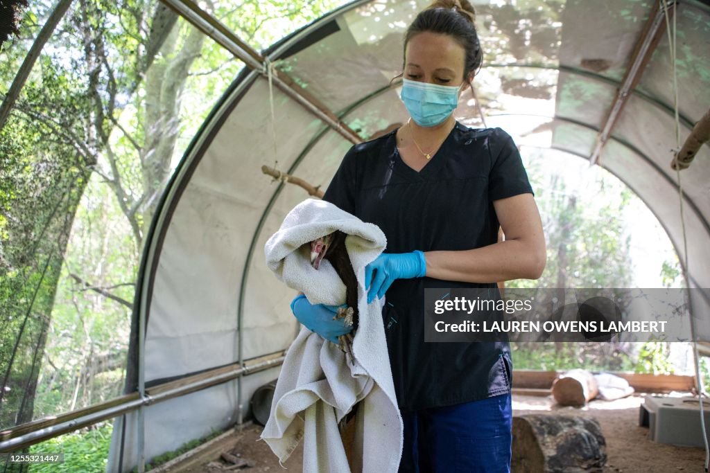 US-ANIMAL-REHABILITATION