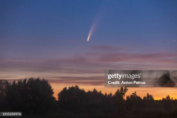 comet neowise c/2020 f3 at misty sunrise - meteor ストックフォトと画像