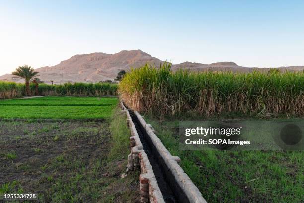 An Egyptian farm irrigation system to channel water from the River Nile to sugar cane plantations in rural Upper Egypt.