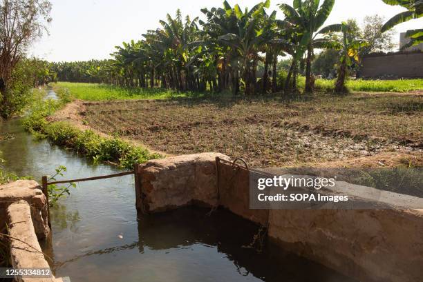 Irrigation channels and canals bringing water from the River Nile to feed plants and water intensive crops of bananas on a farm in Upper Egypt.