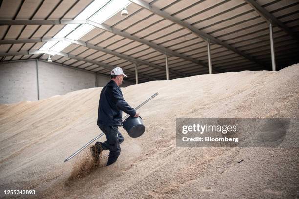 Wheet Storage Injection 1,826 Wheat Storage Stock Photos, High-Res Pictures, and Images - Getty ...