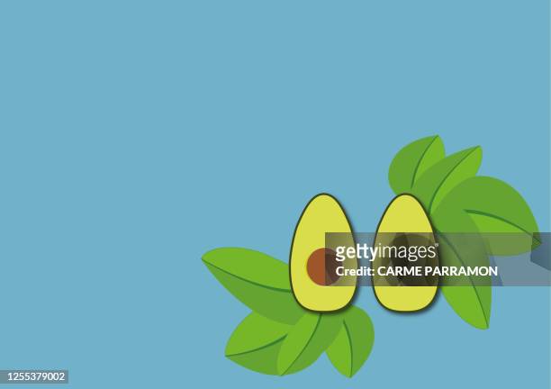 ilustrações de stock, clip art, desenhos animados e ícones de avocado. green fruit with stone - abacate hass