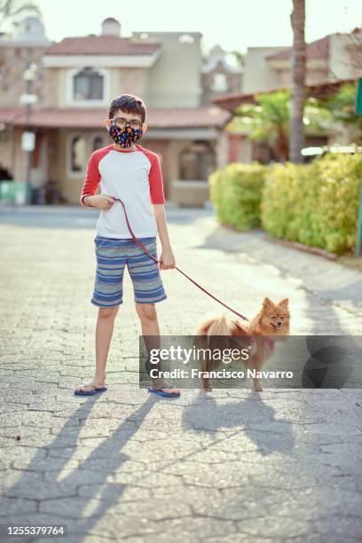 mexico, zapopan, boy with face mask walking dog - pomeranian - fotografias e filmes do acervo