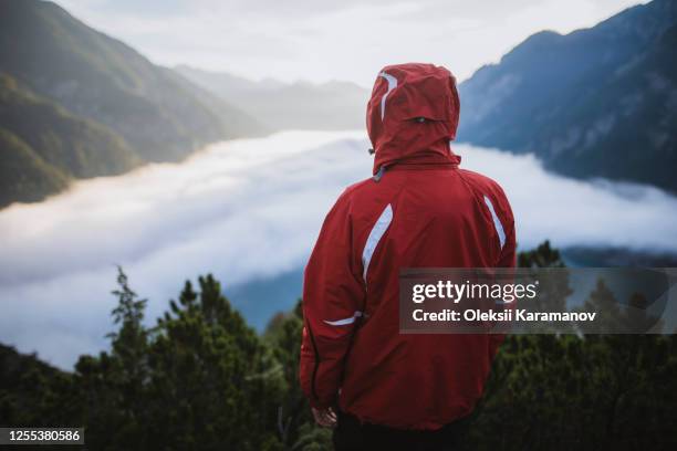 austria, plansee, rear view of man in red jacket standing in austrian alps - central eastern alps stock pictures, royalty-free photos & images