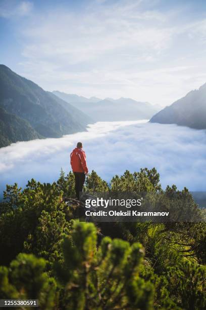 austria, plansee, man standing in trees above valley in clouds in austrian alps - central eastern alps stock pictures, royalty-free photos & images
