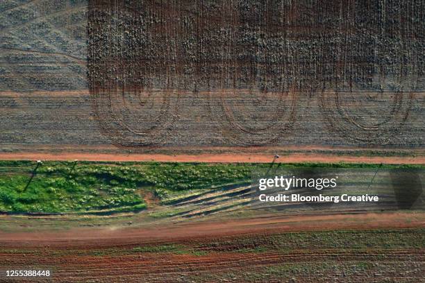 cultivated barley field - drone farm stock pictures, royalty-free photos & images