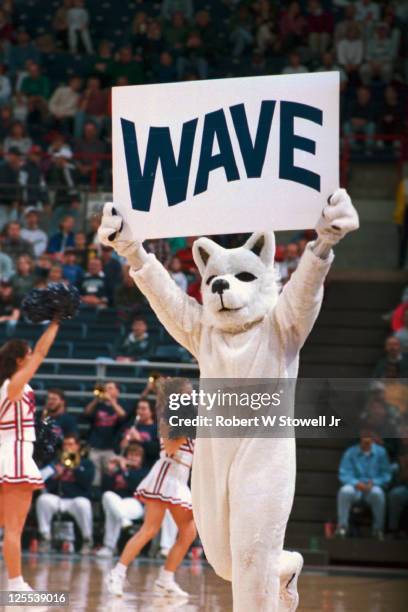 University of Connecticut Huskies mascot Jonathan holds up a sign that reads 'WAVE' while prompting the crowd to cheer during a basketball game,...