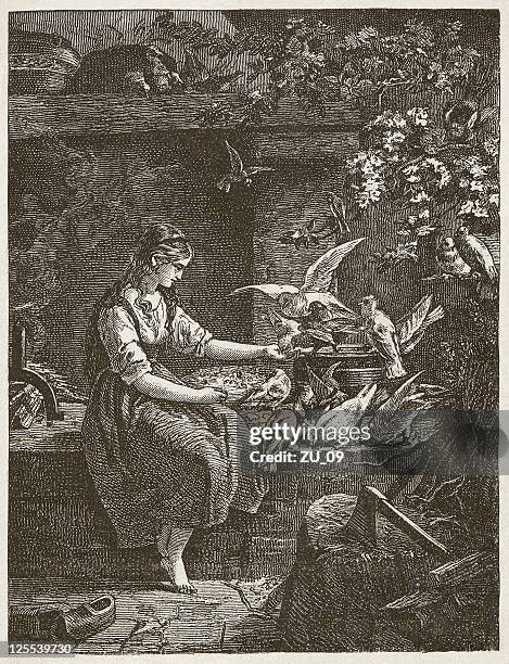 cinderella and the helping pigeons, wood engraving, published in 1873 - cinderella stock illustrations