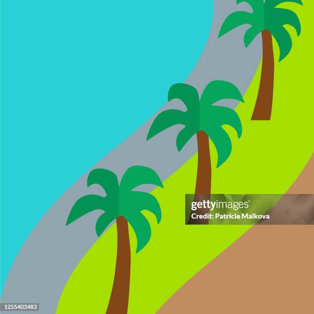 vector beach with palm trees and sea, cartoon nature background - czech republic nature stock illustrations