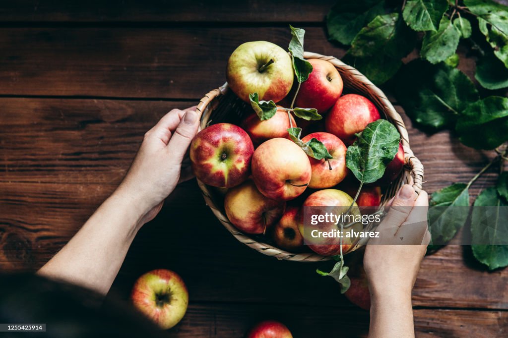 Femme avec des pommes fraîchement cueillies