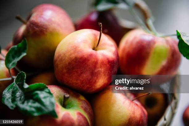 geoogste rode appelen in een mand - apple stockfoto's en -beelden