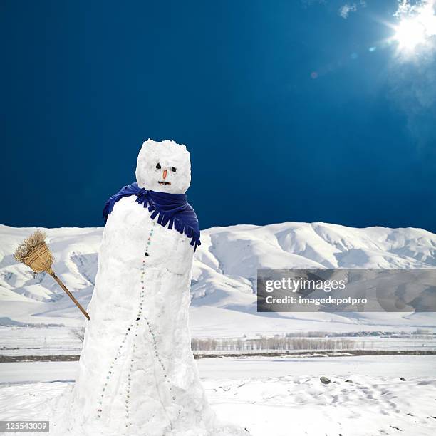melting snowman under sun - melting snowball stock pictures, royalty-free photos & images