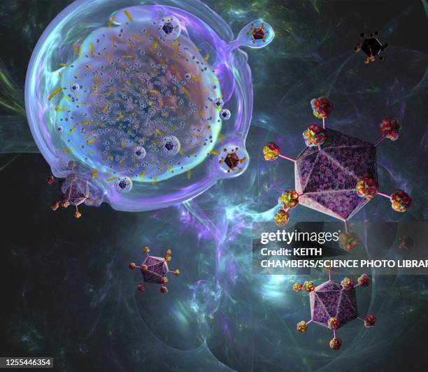 car t cell immunotherapy, illustration - science photo library stockfoto's en -beelden