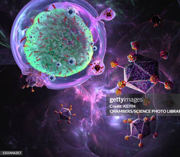 car t cell immunotherapy, illustration - t-cell receptor stock pictures, royalty-free photos & images