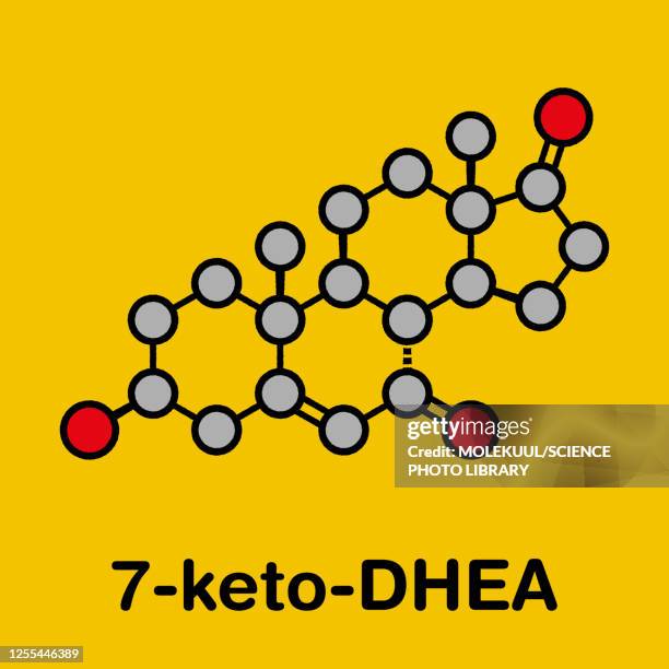 7-ketodehydroepiandrosterone molecule, illustration - post traumatic stress disorder stock illustrations