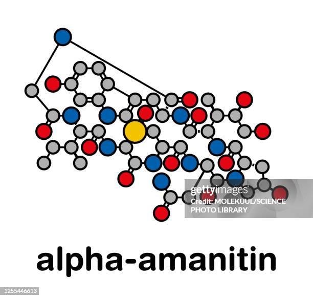 alpha-amanitin death cap toxin molecule, illustration - toadstool stock illustrations