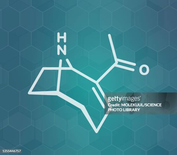 anatoxin-a molecule, illustration - acetylcholine stock illustrations