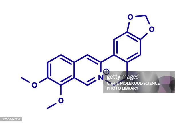 berberine alkaloid molecule, illustration - chemical formula stock illustrations