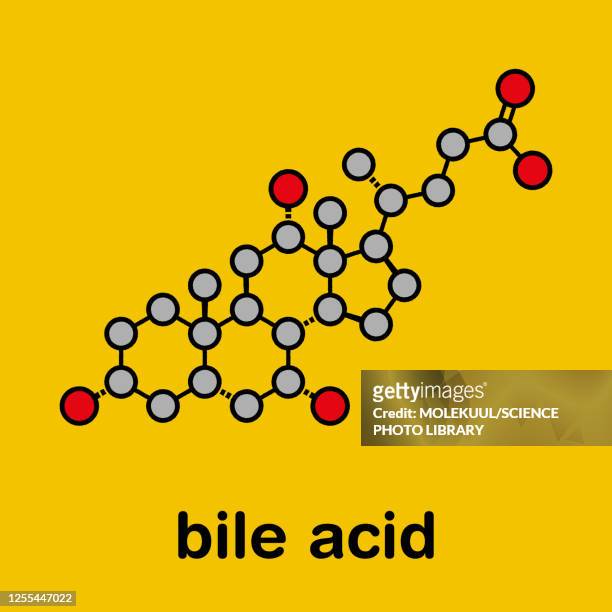 stockillustraties, clipart, cartoons en iconen met cholic acid bile molecule, illustration - gal