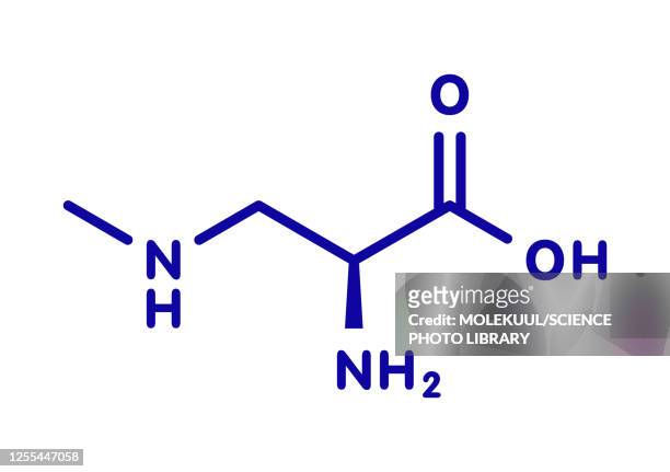 bmaa toxic amino acid molecule, illustration - cycad stock illustrations