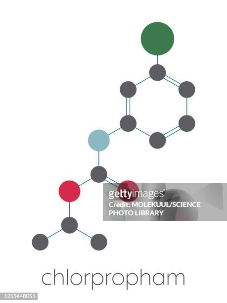 chlorpropham herbicide molecule, illustration - sprout stock illustrations