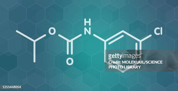 chlorpropham herbicide molecule, illustration - sprout stock illustrations