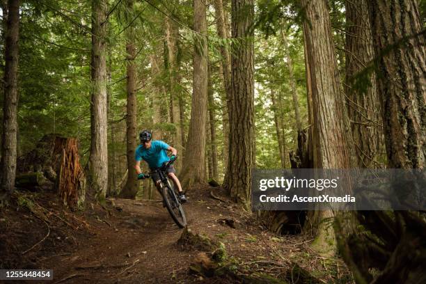 crosscountry ciclismo de montaña en un exuberante bosque - mountain bike fotografías e imágenes de stock