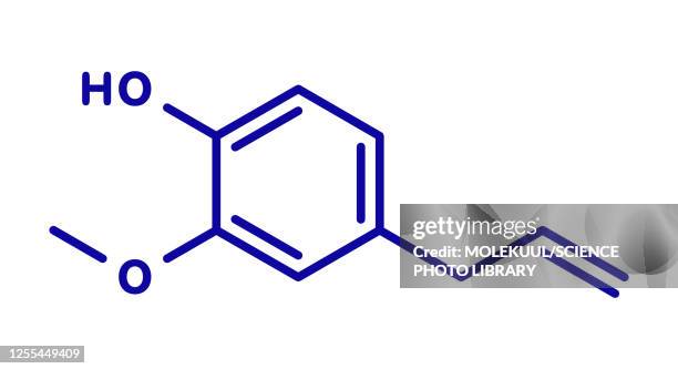 eugenol herbal essential oil molecule, illustration - basil stock illustrations