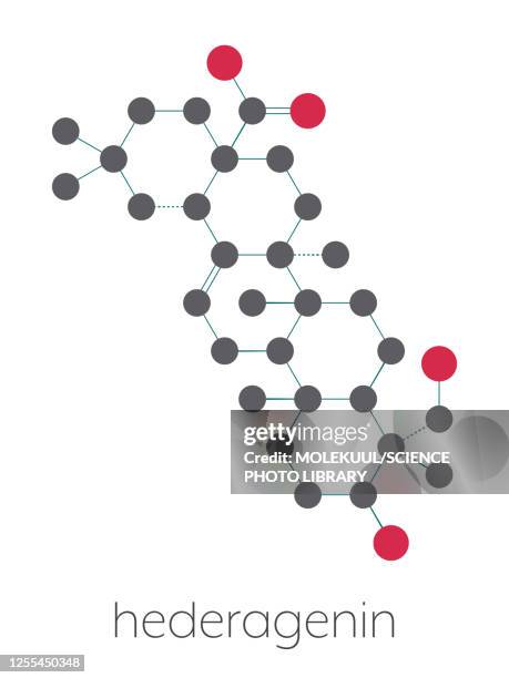 bildbanksillustrationer, clip art samt tecknat material och ikoner med hederagenin common ivy molecule, illustration - amarant