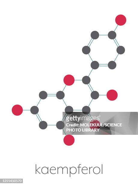kaempferol antioxidant molecule, illustration - legume family stock illustrations