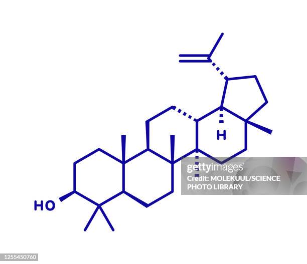 lupeol molecule, illustration - mango stock illustrations