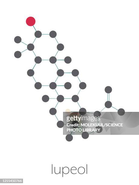 lupeol molecule, illustration - mango stock illustrations